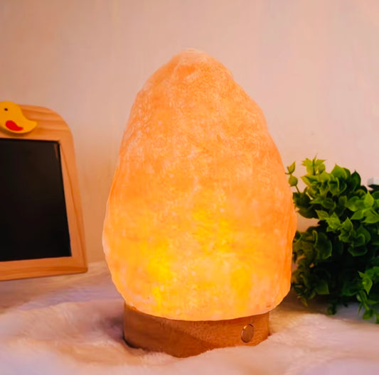 Purifying Himalayan Salt Lamp - Natural Shape